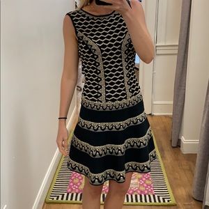 Bcbg fit and flare dress